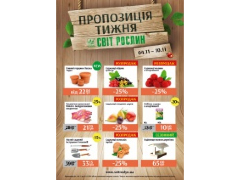 Пропозиція тижня 4-10 листопада