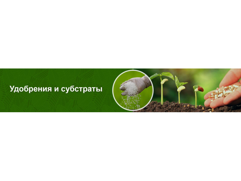 Все що потрібно знати про грунт та харчування рослин