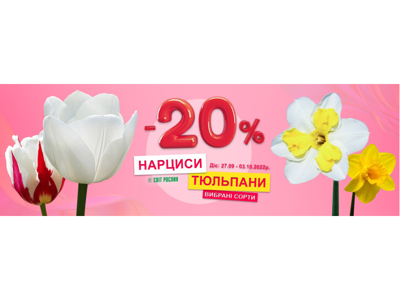 -20% на нарциси та тюльпани