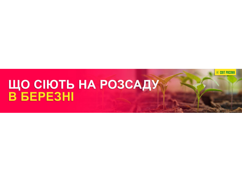 Что сеют на рассаду в марте