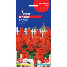 Насіння Сальвія Родео червона GL Seeds 0,1 г