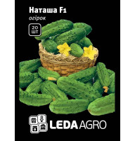 Насіння Огірок Наташа F1, 20 шт LedaAgro