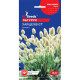 Семена Лагурус Зайцехвост 0,1 г GL Seeds