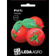 Насіння Томат Річі F1 0,05 г LedaAgro