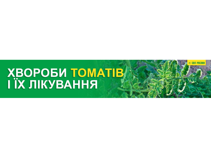 Хвороби томатів і їх лікування