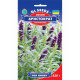 Насіння Іссоп лікарняний GL Seeds 0.25 г