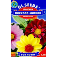 Георгина Пикколо Мигнон 0,5 г