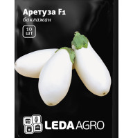 Насіння Баклажана білого Аретуза F1 10 нас LedaAgro