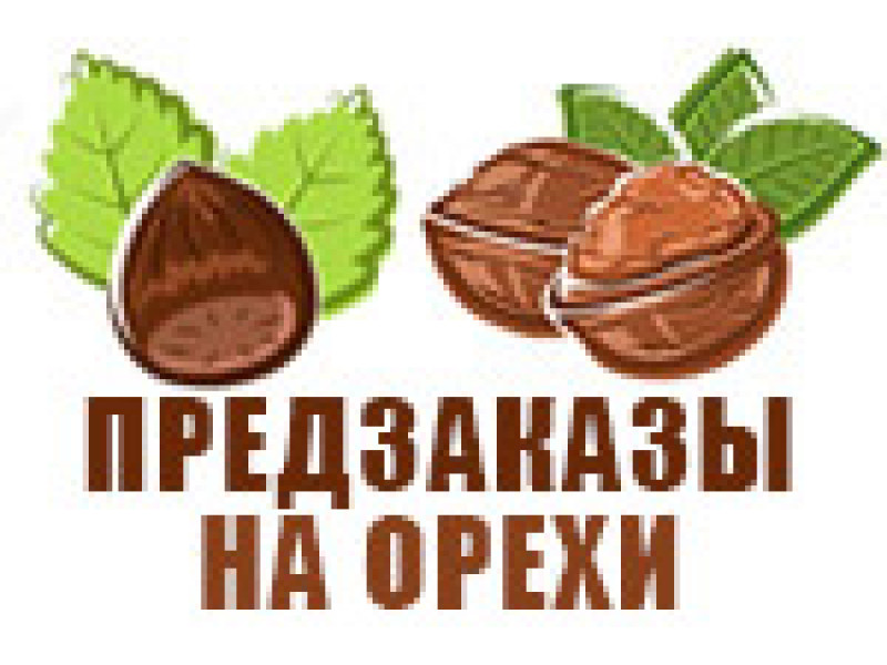 Попередні замовлення на саджанці горіхів