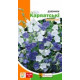 Семена колокольчика Карпатский 0,1 г