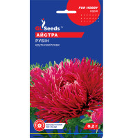 Насіння Айстра Рубін 0,2 г GL Seeds