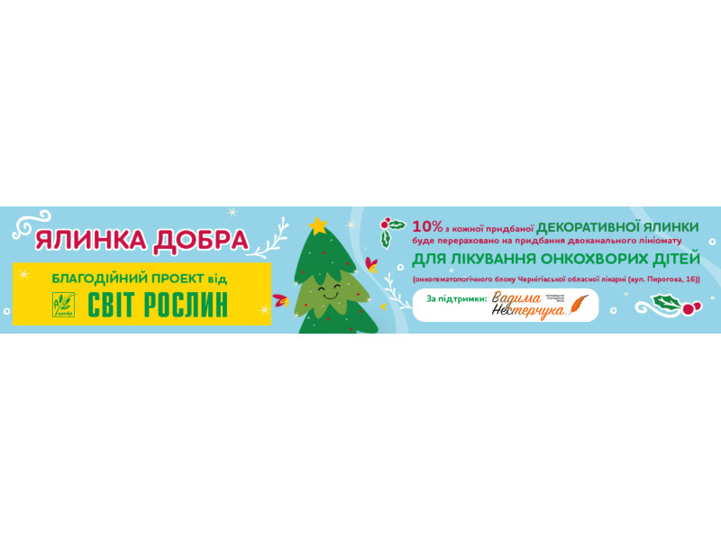 Новинка! Жива ялина в горщику до Нового 2019 року!