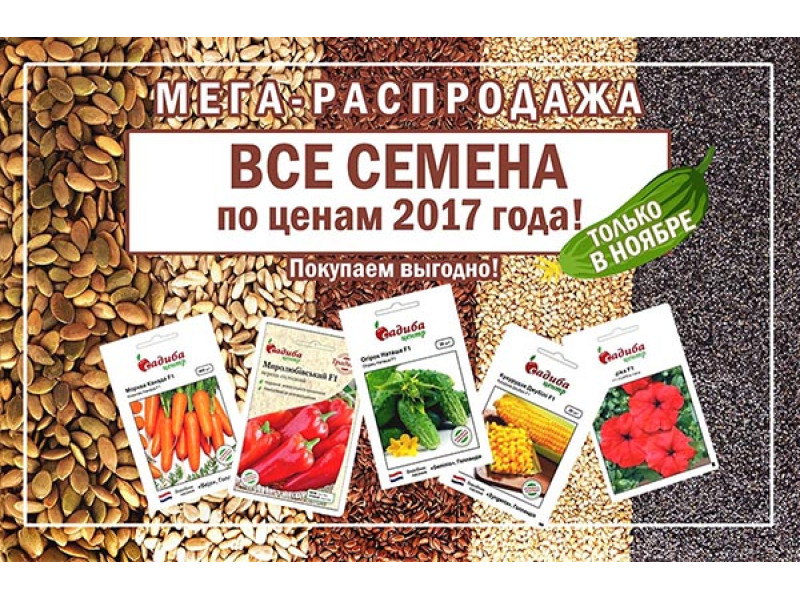 Быть предусмотрительным выгодно! Распродажа семян по ценам уходящего года!
