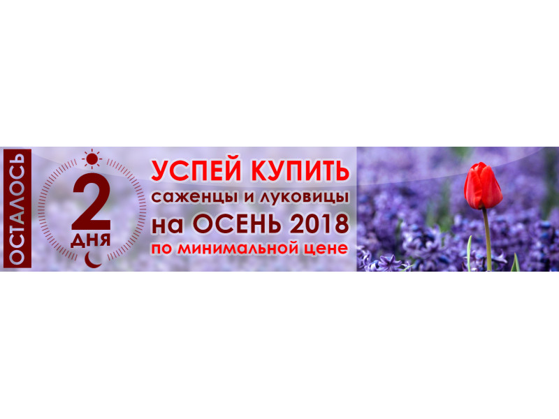 Залишилося 2 дні!