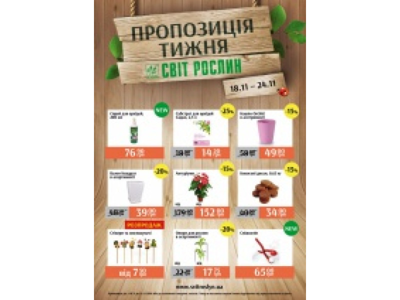 Пропозиція тижня 18-24 листопада