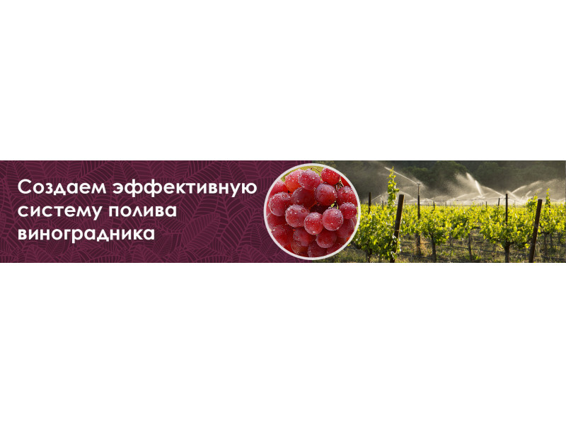 Секрети ефективного поливу винограду