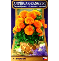 Насіння чорнобривців Antigua Orange F1 5 насінин
