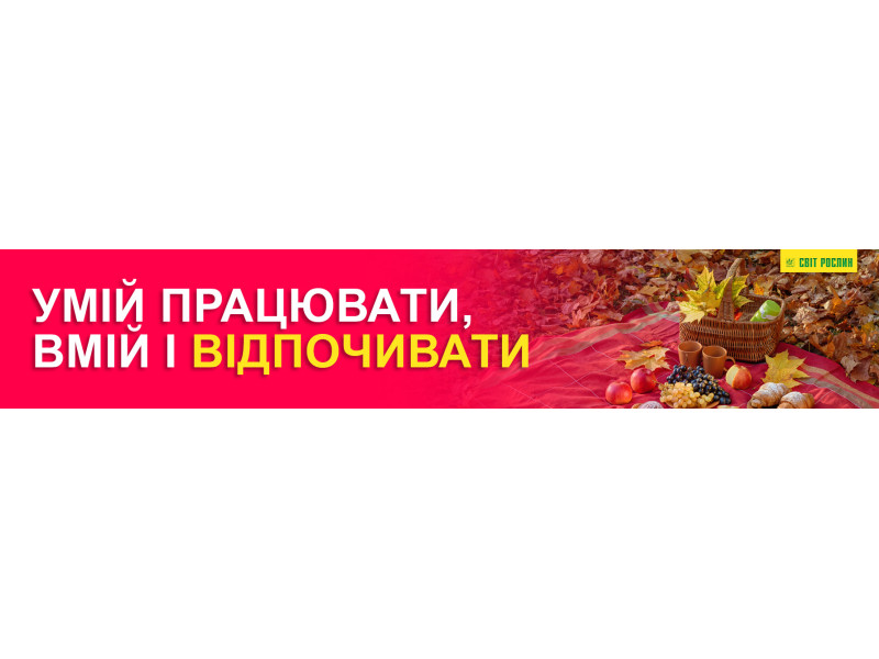 Умей трудиться, умей и отдыхать