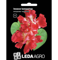 Насіння Іпомея Імператор махрова червона 0,2 г LedaAgro