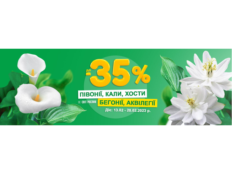  Акція! Знижка до -35% на півонії, кали, хости, бегонії та аквілегії