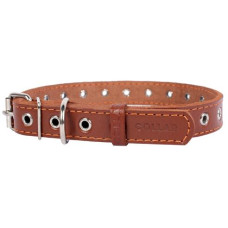 Ошейник CoLLar безразмерный 01516