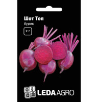 Насіння буряка Шот Топ 2 г LedaAgro