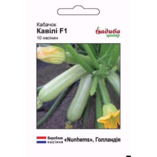 Семена кабачка Кавили  5 сем