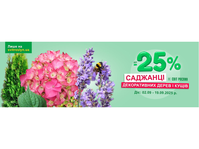 Осінні знижки до -25% на саджанці декоративних дерев і кущів