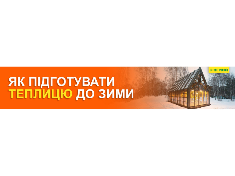 Як підготувати теплицю до зими