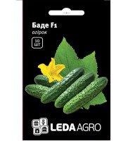 Насіння Огірка Баде F1 букетний 10 шт Leda Agro