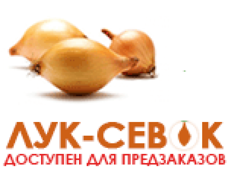 Давно шукаєте цибулю, яка не стрілкується?
