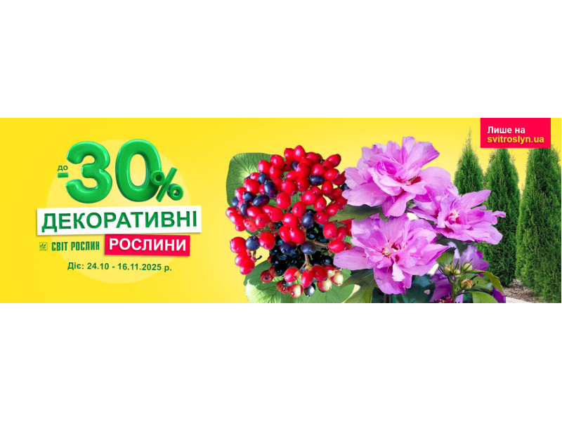 Час садити мрії – знижка на саджанці декоративних рослин до -30%
