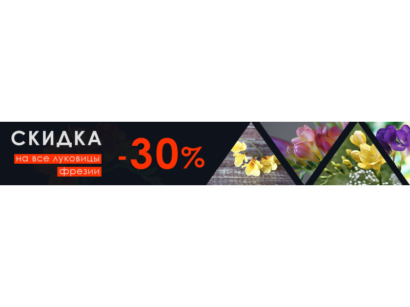 Скидка -30% на все луковицы фрезии