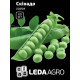 Семена Горох Скинадо 20 сем LedaAgro