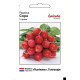 Семена редиса Сора 3 г