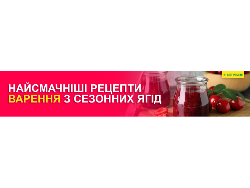 Самые вкусные рецепты варенья из сезонных ягод