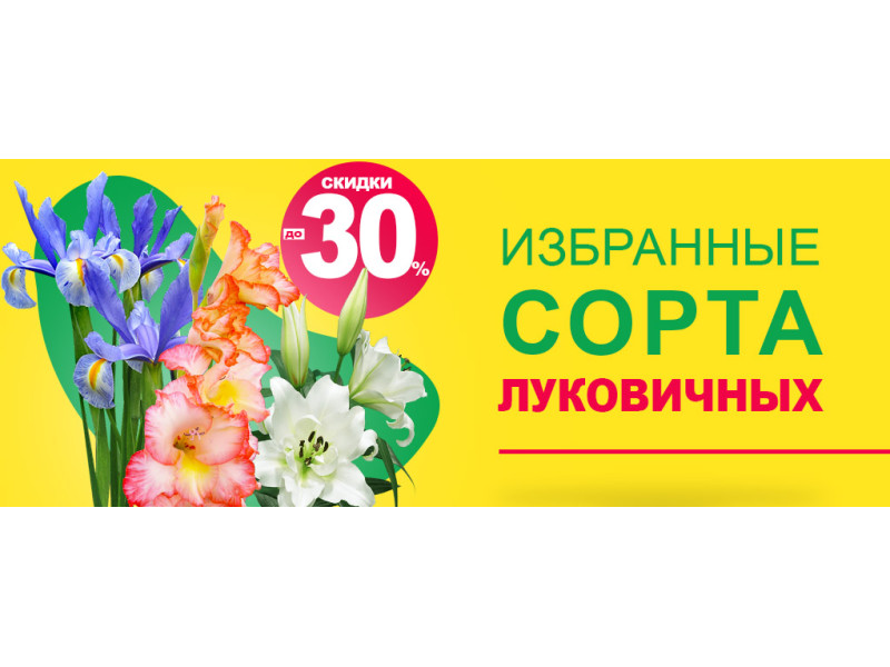 До -30% на красу! Посадка квітів до свят - найкращий антистрес