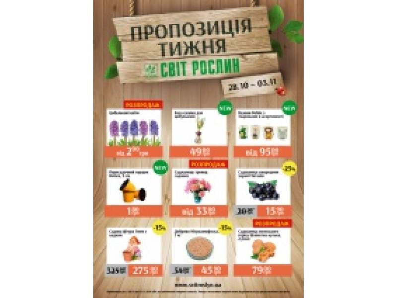 Пропозиція тижня 28 жовтня -3 листопада