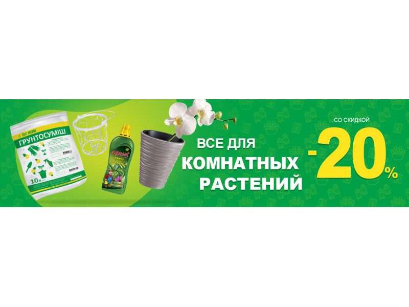 Скидка -20% на все для комнатных растений!