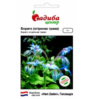 Насіння Бораго (огіркова трава) СЦ 1 г