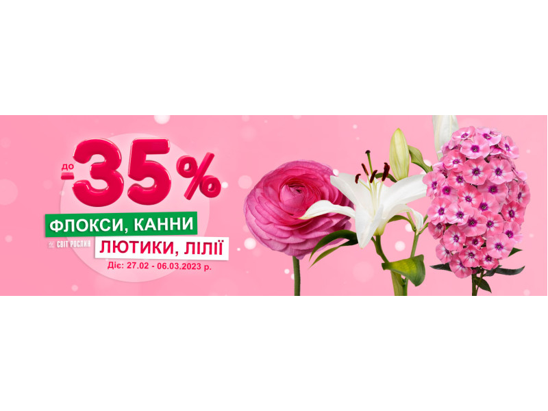 Акція! Флокси, канни та лютики - знижка до -35%