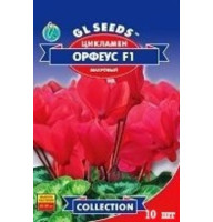 Цикломен Орфеус 10 шт