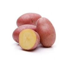 Насіннєва картопля Балтик Роуз, 1-а репродукція, рання, 2,5 кг