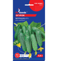 Насіння Огірок Мураха F1 GL Seeds 0,5 г