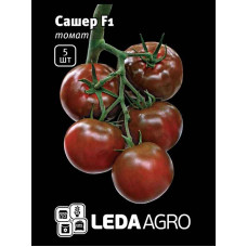 Насіння Томат Сашер F1 5 шт LedaAgro