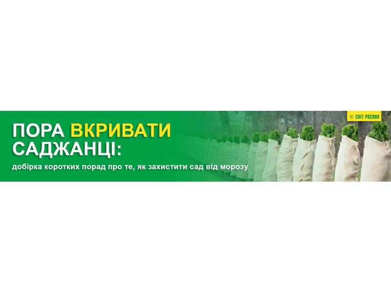 Пора вкривати саджанці: добірка коротких порад про те, як захистити сад від морозу