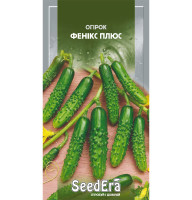 Насіння Огірок Фенікс плюс 10 г Seedera