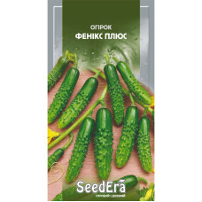 Насіння Огірок Фенікс плюс 10 г Seedera