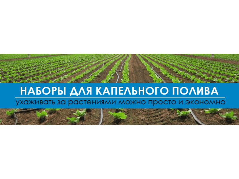Набори для крапельного поливу, які заощадять Ваш час і гроші