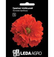 Насіння Гравілат чилійський Госпожа Бредшоу 0,1 гр LedaAgro